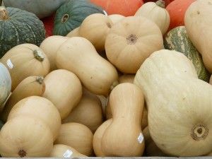 musky-winter-squashes-61289_1920