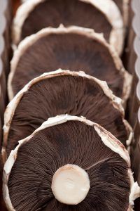 Portobello Burgers