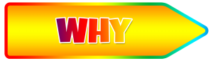 Why Hire A Personal Trainer