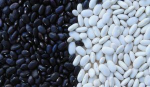 Fiber Beans