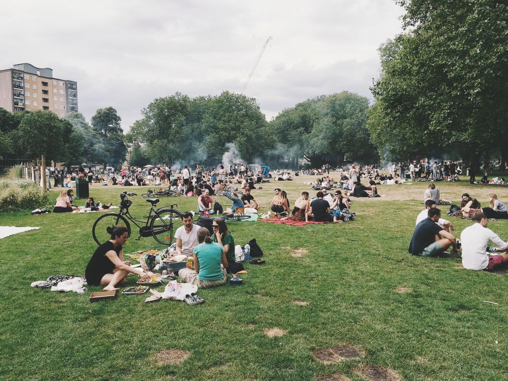 picnic