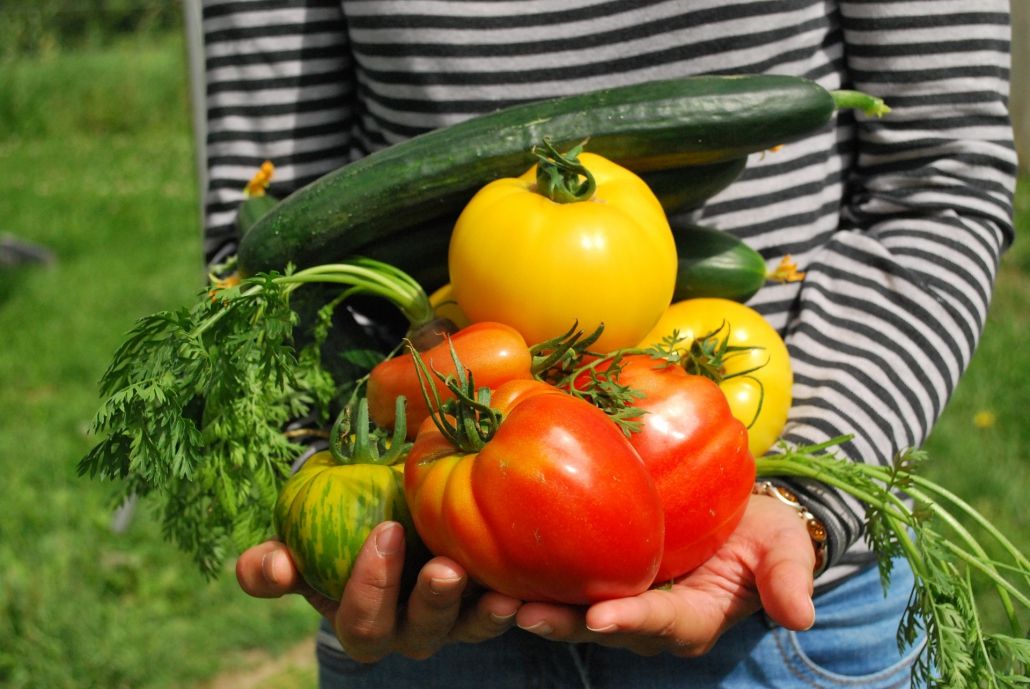 vegetable.garden
