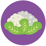 ICON 3 Nutritionist NYC - Registered Dietitian in Manhattan, Brooklyn, Queens, Staten Island, and The Bronx