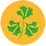 ICON 2 Nutritionist NYC - Registered Dietitian in Manhattan, Brooklyn, Queens, Staten Island, and The Bronx